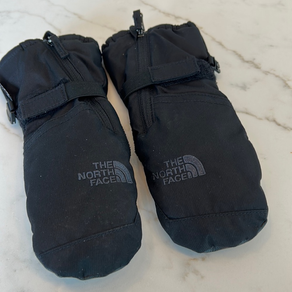 North Face Winter Mittens/Gloves
